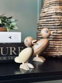 And Succitræ - Lille