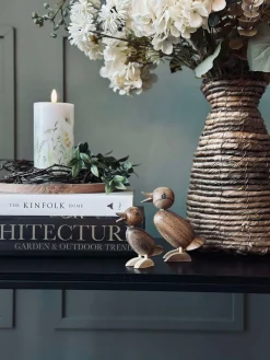 And Succitræ - Lille