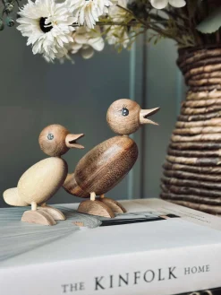 And Succitræ - Lille