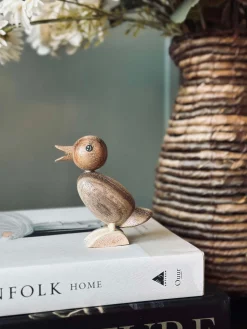 And Succitræ - Lille