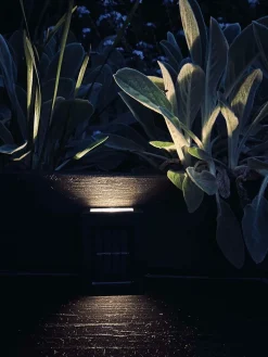 Aura Solar Lampe - 2 Pak