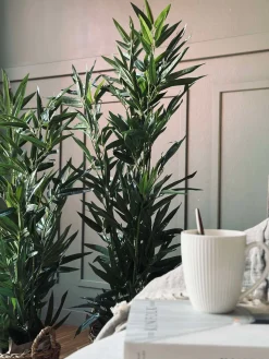 Bambus i potte 110cm