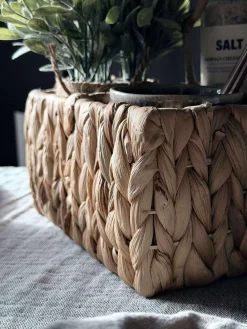 Bestikbakke i vandhyacint