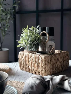 Bestikbakke i vandhyacint