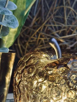 Æble Gylden - Large