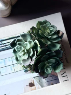 Blomst husløg moskugle