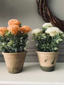 Blomst i rustik potte - Hvid