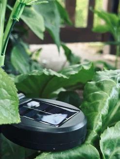 Blomst med solceller - Spider Lili hvid