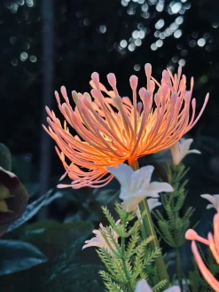 Blomst med solceller - Spider Lili rose