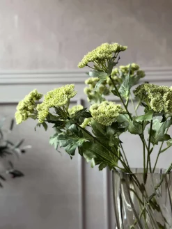 Blomsterstilk - Lime