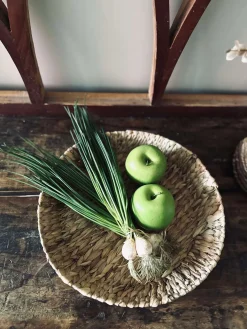 Brødbakke - Vandhyacint