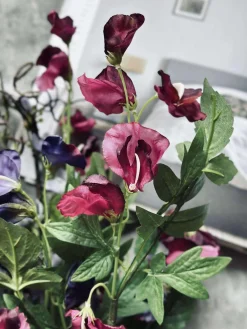 Buket GARDEN - Lilla