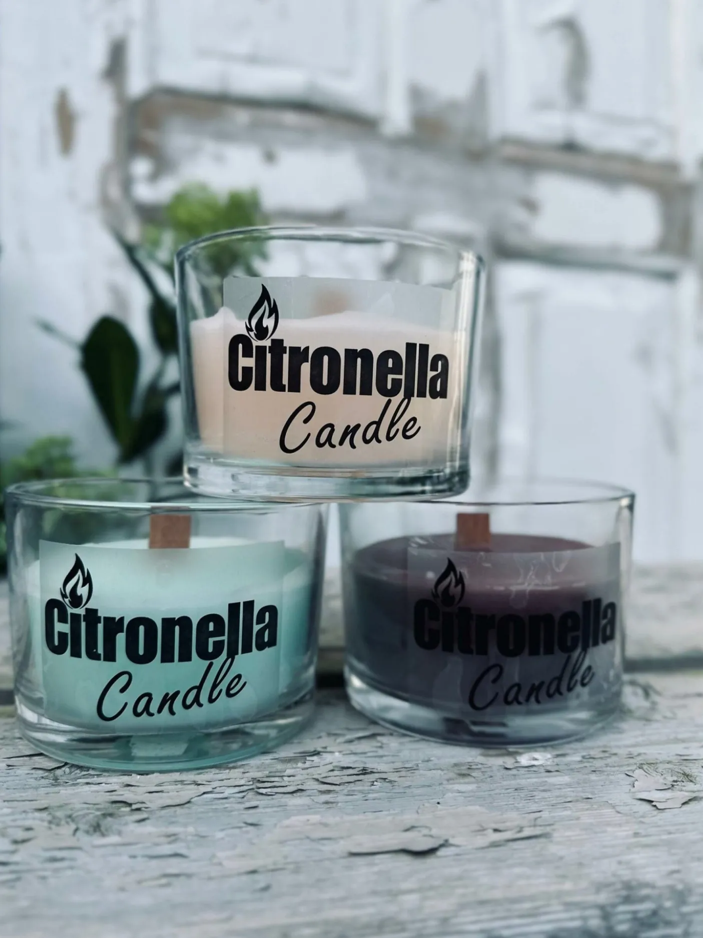 Citronella – Color mix