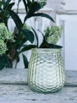 Citronella lys - Mix i farvet glas