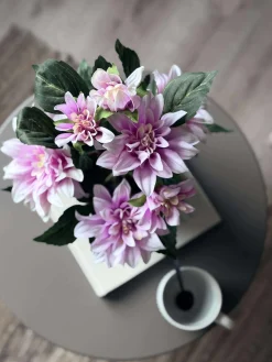 Dahlia i potte - Lyserød