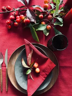 Dug julerød – Vand og smudsafvisende