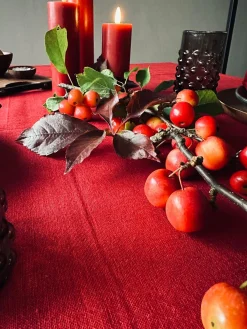 Dug julerød – Vand og smudsafvisende