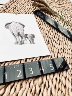 Eksklusiv Akryl - linial 20cm