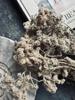 Evighedsbuket Gypsy Natur