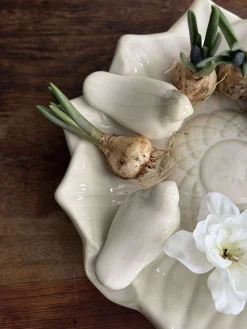 Fad med fugle – White