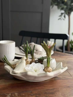 Fad med fugle – White