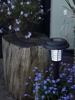 Fakkel MOSQUITO 2IN1 SOLAR