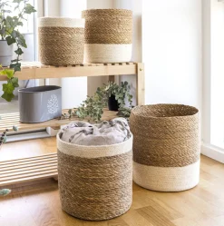 Fletkurve i søgræs - Sæt 4 stk