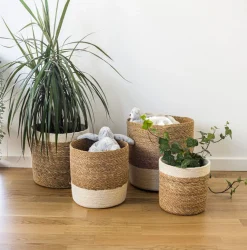 Fletkurve i søgræs - Sæt 4 stk