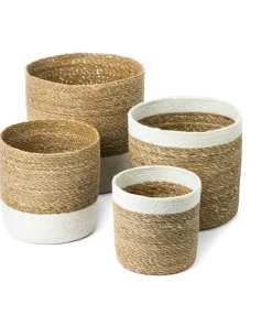 Fletkurve i søgræs - Sæt 4 stk