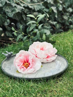 Fuglebad Zink - Flere størrelser