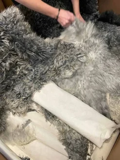 Gotlandsk 2.Sortering