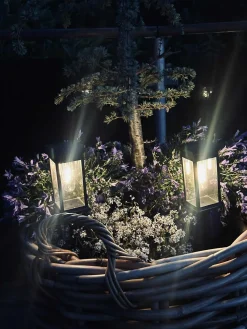 Havelampe MIRA med solar – Sæt med 2 stk.