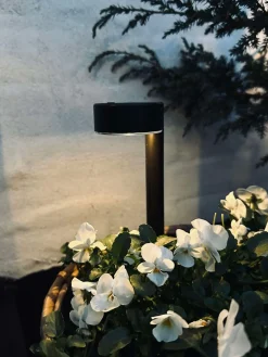 Havelampe Nancy med solar – Sæt med 4 stk.