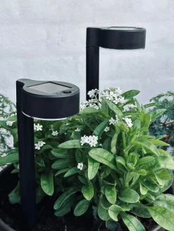 Havelampe Nancy med solar – Sæt med 4 stk.