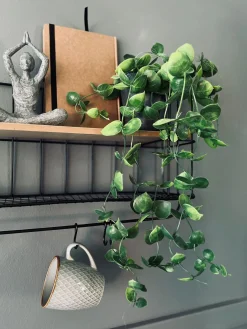 Hængeplante - Fresh green