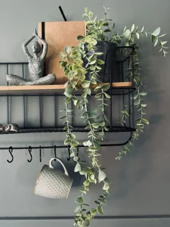 Hængeplante - Mint grøn