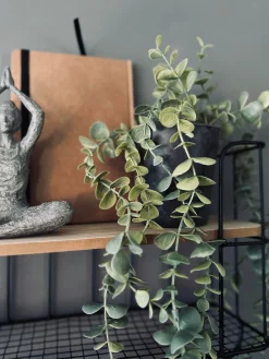 Hængeplante - Mint grøn