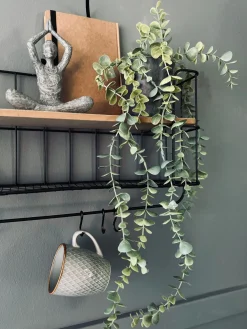 Hængeplante - Mint grøn