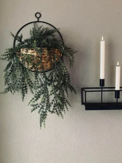 Hængeplante på stilk - No. 1