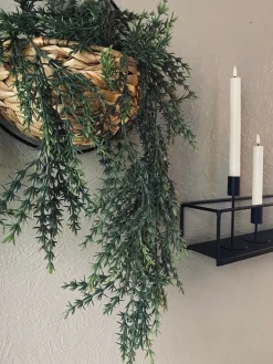 Hængeplante på stilk - No. 1