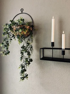 Hængeplante på stilk - No. 2