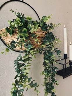 Hængeplante på stilk - No. 2