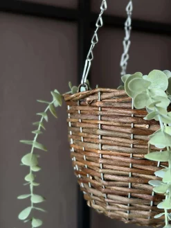 Hængepotte i pil - sæt med 2 stk