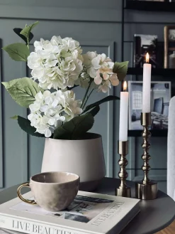 Hortensia i potte - Hvid