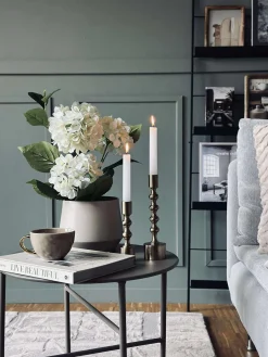 Hortensia i potte - Hvid