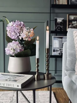 Hortensia i potte - Syren