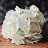 Hortensia Lime/hvid