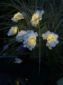 Hortensia med solceller - Hvid