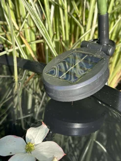 Hortensia med solceller - Hvid