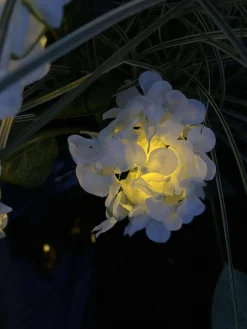 Hortensia med solceller - Hvid